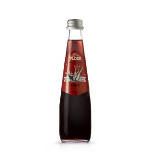 COLA PLOSE 25 cl. vetro a perdere - Scatole da 24 bottiglie