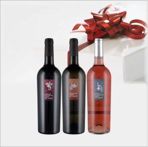 Toscana confezione FEUDI DI SAN GREGORIO da 3 BOTTIGLIE