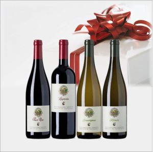 Alto Adige confezione ABBAZIA DI NOVACELLA da 4 BOTTIGLIE