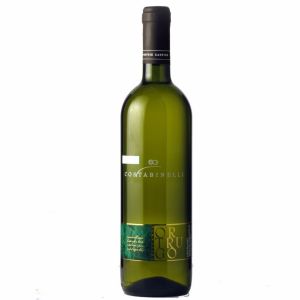 ORTRUGO Colli Piacentini DOC 2019 COSTA BINELLI