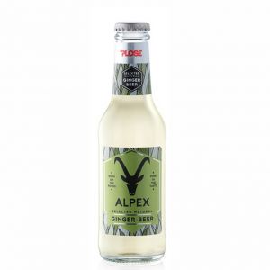 GINGER BEER Alpex PLOSE 20 cl. vetro a perdere - Scatole da 24 bottiglie