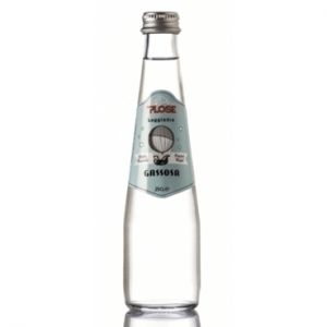 GASSOSA PLOSE 25 cl. vetro a perdere - Scatole da 24 bottiglie