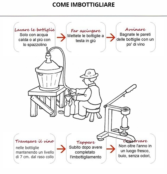 come imbottigliare il vino